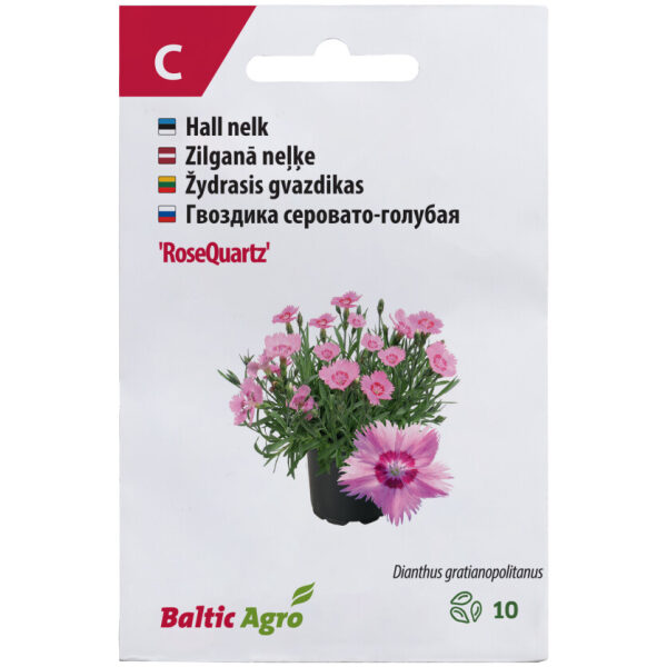 Гвоздика серовато-голубая 'RoseQuartz'