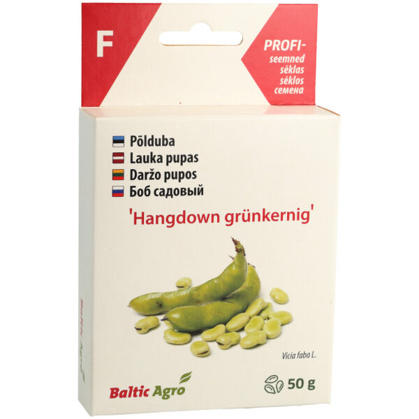 Broad bean 'Hangdown'