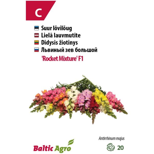 Lõvilõug 'Rocket Mix' F1