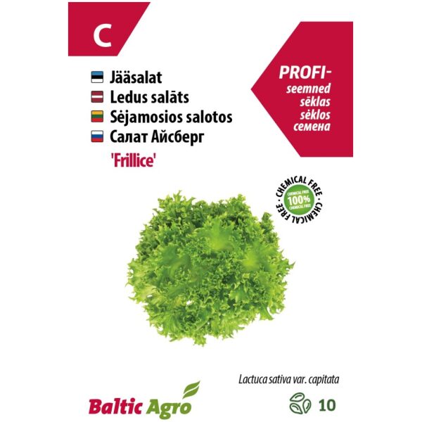Jääsalat 'Frillice' F1