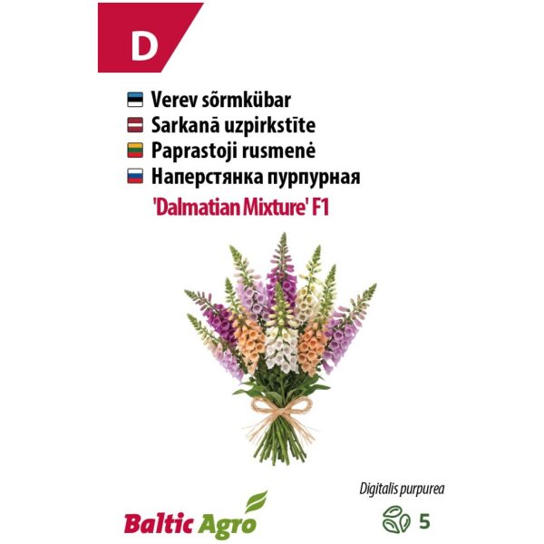 Sõrmkübar 'Dalmatian Mix' F1