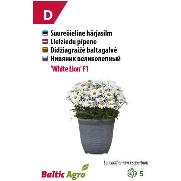 Härjasilm 'White Lion' F1