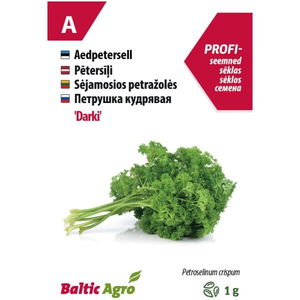 Parsley 'Darki'