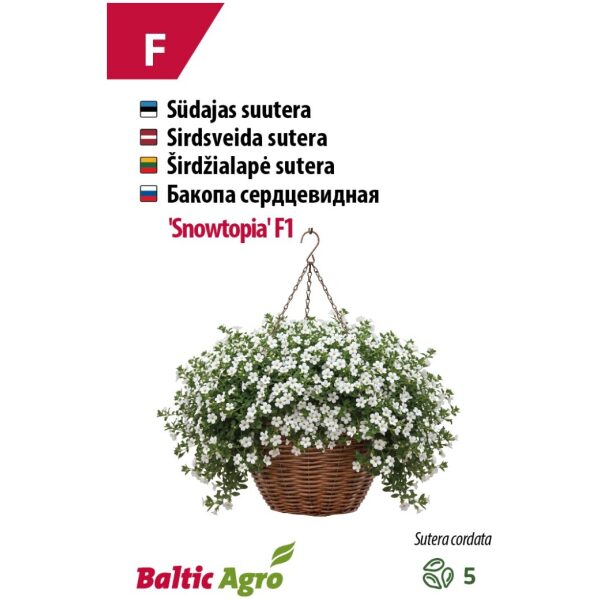 Suutera (bakoopa) 'Snowtopia'