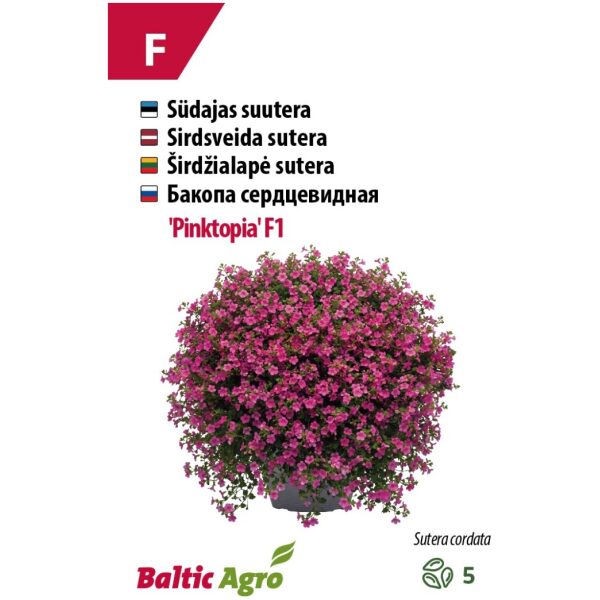 Suutera (bakoopa) 'Pinktopia'